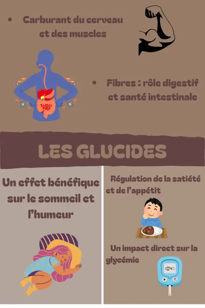 Les glucides