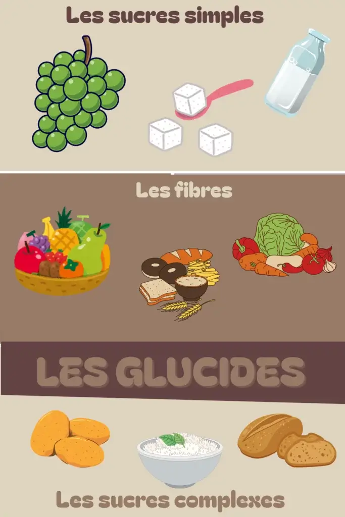 Les glucides