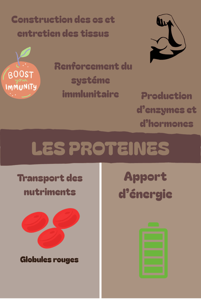 Les proteines