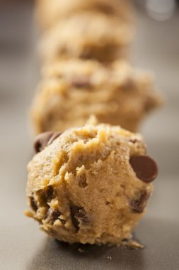homemade-chocolate-chip-cookie-dough