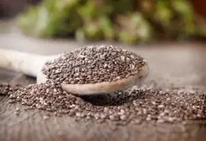 les bienfaits des graines de chia