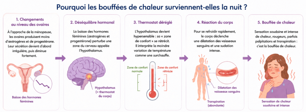 bouffée de chaleur nocturnes